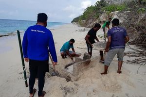 އުތީމުން ފެނުނު ވަޅު ބަހައްޓާނީ އެ ރަށުގައި އަޅާ ދާރުލްއާސާރުގައި