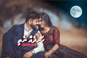 ދިގު ވާހަކަ: ހަނދެއް ނެތި