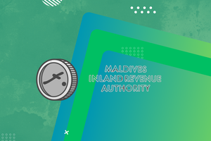 އަދަދުތަކުން: 2025 ގައި މީރާއިން ބަލައިގަތް އާމްދަނީ