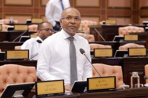 ޖޭއެސްސީ ބަދަލުކުރާ ބިލު ޑިމޮކްރެޓްސް-އެމްޑީޕީގެ އަރައިރުމަކަށް 