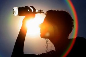 Extreme heat straining health systems: WHO