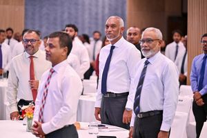 މިނިސްޓަރުންގެ މައްސަލަ ވަކިވަކިން ތަހުގީގު ކުރަންޖެހޭ:ޒަރިޔަންދު