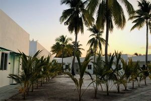 ވިލުނު ސެންޓަރުން އަންނަ ހަފްތާގައި ފަރުވާދޭން ފަށަނީ