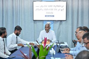 ދޮންފަނު ބިން ހިއްކުމާ ގުޅިގެން މުއިއްޒު ހެދީ ދޮގު: ކައުންސިލް