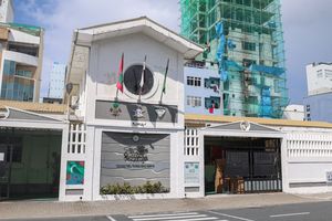 "އިތުރުވާ ކަމަށް ބުނަނީ ސެނަހިޔާގެ ނުވަ ޑޮކްޓަރުން"