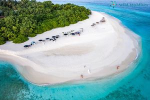 އުކުޅަސް ހެވި ދިލިފައި، ސަބަބަކީ ލޯކަލް ޓޫރިޒަމްގެ ނަފާ