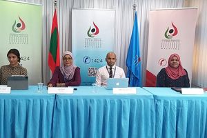 ހައްގުތައް ގެއްލޭތީ ނަފުރަތުގެ ބިލު އިސްލާހުކުރަން ލަފާދީފި