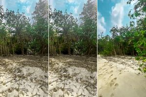 ވިލިމާލެ ހޭޅިފަށުން ގަސްކެނޑި މައްސަލާގައި ފިޔަވަޅު އަޅަނީ