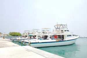 އަގުހެޔޮކޮށް ތެޔޮ ނުލިބޭތީ އުތުރުގެ މަސްވެރިކަން ހުއްޓުމަކަށް!