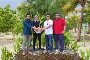އަމާނާ ތަކާފުލްއިން ކުޑަގިރީގައި 100 ދިވެހި ރުއް އިންދައިފި