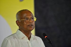 "މަޖިލީހުގެ މެންބަރުންގެ އަދަދު ވަކިވަރެއްގައި ހިފަހައްޓާނަން"
