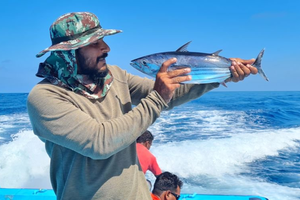މަސްވެރިޔާ ސާޖިދު ހައްޔަރުކޮށްފި