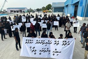 ވިލިނގިލީގައި ދެމައިން ނިޔާވި މައްސަލައިގައި ދައުވާނުކުރި