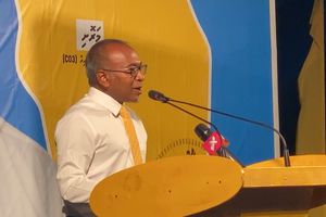 މިއުޅެނީ ގޯސް ފިކުރެއްގެ ބޭފުޅަކު މަޖިލީހަށް ވަދެފާނެތީ: ހަސަން