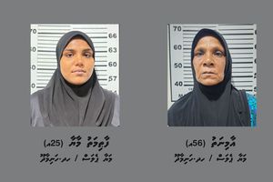 މަސްތުވާތަކެތީގެ މައްސަލައެއްގައި ދެމައިން ހައްޔަރުކޮށްފި