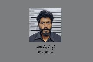 ގައްދޫއިން 96 ގްރާމު މަސްތުވާތަކެއްޗާއެކު ދިވެއްސަކު ހައްޔަރުކޮށްފި