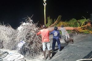 ކުޑަހުވަދޫއިން ނެގި ރުއްތައް މިލިއަނެއްހާ ރުފިޔާއަށް ވިއްކައިފި