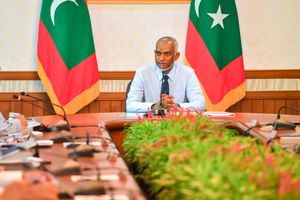 މެރިކަލްޗާ ޒޯންތަކަކާއި ފާނަ އާލާ ކުރާ ސަރަހައްދުތަކެއް ހަދަނީ 