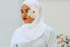 އޭޑީކޭގައި ވިހެއި ސަލްމާ ގަޔަށް ލޭ އަޅަން އިންތިހާއަށް ލަސްވިކަން ހާމަވެއްޖެ 