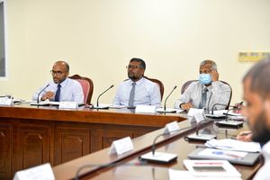 ޖީއެސްޓީ، ޓީޖީއެސްޓީ ބޮޑުކުރަން ވާލްޑް ބޭންކްގެ ތާއީދު