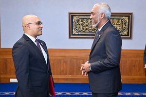 ޓެކްސް ނުދައްކާ މީހުން ޖަލަށްލާން ހުށަހެޅި ބިލު ކޮމިޓީއަށް
