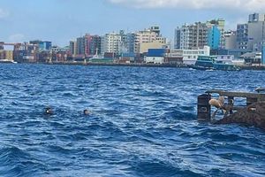 ކޮޅުވެއްޓި ބަންޑުން ޖަހާލުން: އެކަކު ނެގީ ކަނޑު އަޑިން 