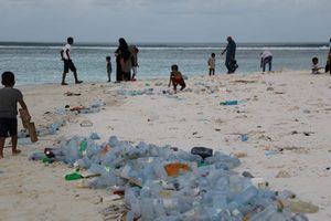 ޕްލާސްޓިކް ކުނި އެއްކުރުމުގެ މަޝްރޫއު މޯޕާއިން ފުޅާކުރަނީ