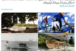 މިލްޒީރޯގެ ފޮޓޯތައް ބޭނުންކުރުމުން މައާފަށް އެދެން އެދިއްޖެ
