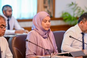 އެލްޑާލީ ޑިޕާޓްމަންޓުގެ ޑިރެކްޓަރަށް ތަފާތުކުރިކަމުގެ ތުހުމަތު