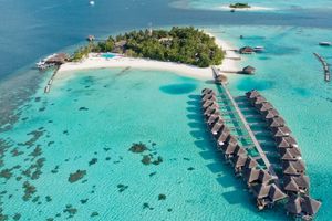 މާފުށިވަރު ރިސޯޓު އައުޓްރިގާ އިން ގަނެފި