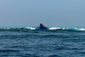 Missing Maldivian man found dead