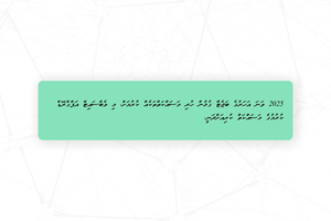 ސަރުކާރުގެ މަޝްރޫއުތައް ބެލޭ އައިލްސް ވެބްސައިޓު ޑައުންކޮށްލައިފި