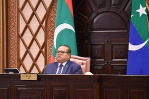 މެންބަރުން ގުނާ ގޮތް ބަޔާން ކުރާ މާއްދާ ބާތިލްކުރަން ހުށަހަޅައިފި