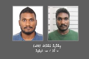 Suspect wanted over attempted murder of MP surrenders to police