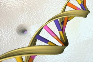 Google AI tool predicts danger of genetic mutations