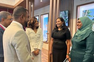 ޖިންސީ ފުރައްސާރައިގެ ތަހުގީގު އެމްއެމްޕީއާރުސީން ހިންގީ ގޯސްކޮށް