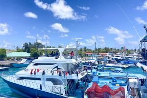 ކޫއްޑޫ ބަނދަރުގައި އޮތް ދޯނިފަހަރުގެ ހުރިހާ މަހެއް ކިރަން ނިންމައިފި