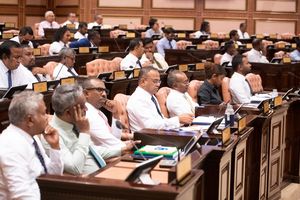 ހައްގުތަކުގެ މައްސަލަ މަޖިލީހުން ބަލައިނުގަތުމުން ކަންބޮޑުވުން