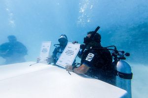 MIB and Crossroads Maldives launch coral restoration programme
