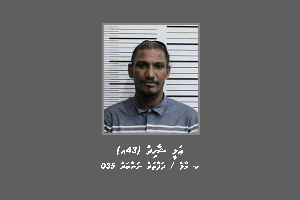 މީހަކު ރަހީނުކުރި މައްސަަލައެއްގައި ސްޓެޕް އައްޔަ ހައްޔަރުކޮށްފި