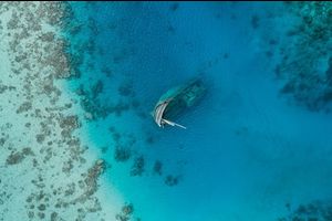 ވާވު ޝިޕްރެކް ހިމާޔަތްކޮށް ތަރައްގީކުރާނެ ފަރާތެއް ހޯދަނީ