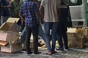 ރޭ އަތުލައިގަތް މަސްތުވާތަކެތީގެ އަގު 13 މިލިއަނަށް އަރާ 