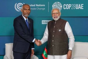 No danger from Indian troop numbers, says govt