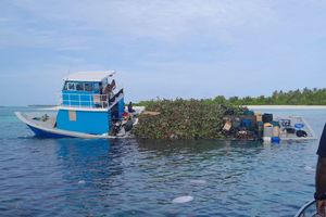 10 މީހުންނާއެކު ދަތުރުކުރި ދޯންޏެއް ފަރަށް އަރައިފި 