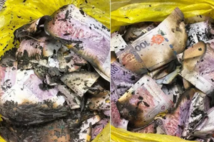 އޮފިސަރުން ދެކެ ބިރުން އެއް މިލިއަން ރިންގިޓު އަންދާލައިފި