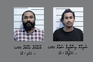 ގިނަ އަދަދެއްގެ މަސްތުވާތަކެއްޗާއެކު މާލެއިން ދެ މީހުން ހައްޔަރުކޮށްފި