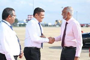 މަގާމުން އިސްތިއުފާ ދިނުމާމެދު ނުވެސް ވިސްނަން: އަމީން