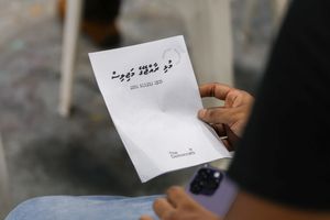 ޑިމޮކްރެޓްސްގެ ސިޔާސަތު: މަޖިލީހަށް ބޮޑު ބަދަލެއް ގެންނާނެ