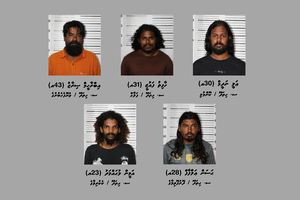 ޑްރަގު ނެޓްވޯކުގައި ހިމެނޭ މީހުންގެ ވަނަވަރު ހާމަކޮށްފި