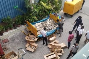 ބޭރު ކުރަން އުޅެނިކޮށް 243 ކިލޯ މިޔަރު އުރަހަ އަތުލައިގެންފި